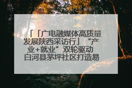 「广电融媒体高质量发展陕西采访行」“产业+就业”双轮驱动 白河县茅坪社区打造易地搬迁后扶新样本